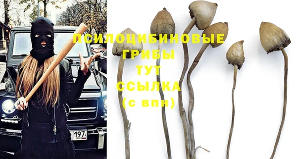 дживик Краснотурьинск