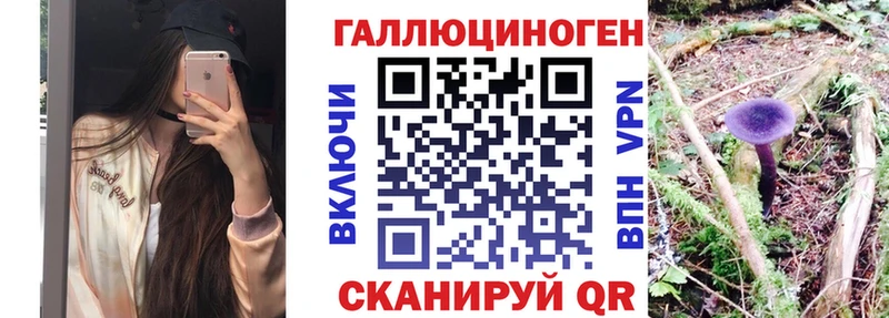 Купить  Кадников  Псилоцибиновые грибы GOLDEN TEACHER 