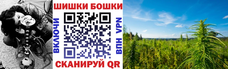 Купить  Кадников  Шишки марихуана сатива 